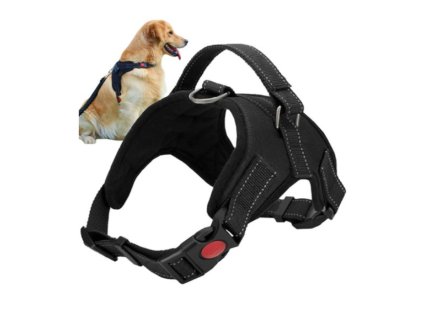 ukážka postroja pre psa v čiernej farbe