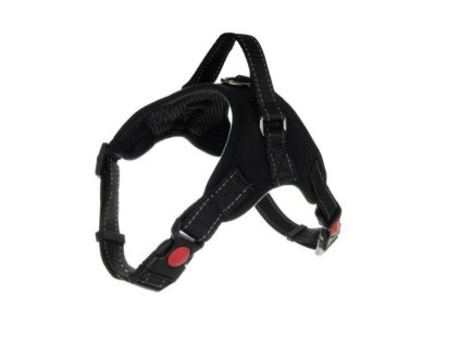 Snímka obrazovky 2026 01 19 153910