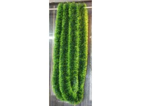 lan zielonozielone