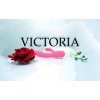 VIBRATOR BOSS SERIES VICTORIA RABBIT