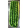lan zielonozielone