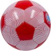 lopta FC Bayern zozadu