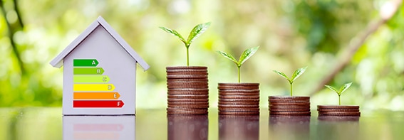 AdobeStock_445957552_small