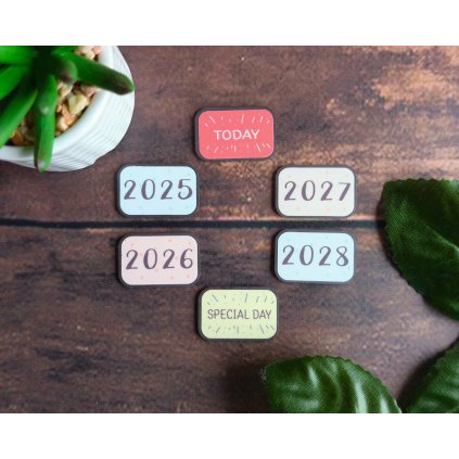 PXL 20250626 142945944.RAW 02.ORIGINAL