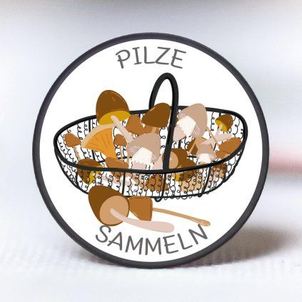 PILZE SAMMELN 1024x1024 01