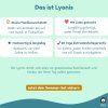 Sommer-Aktivitäten-Magnete Set