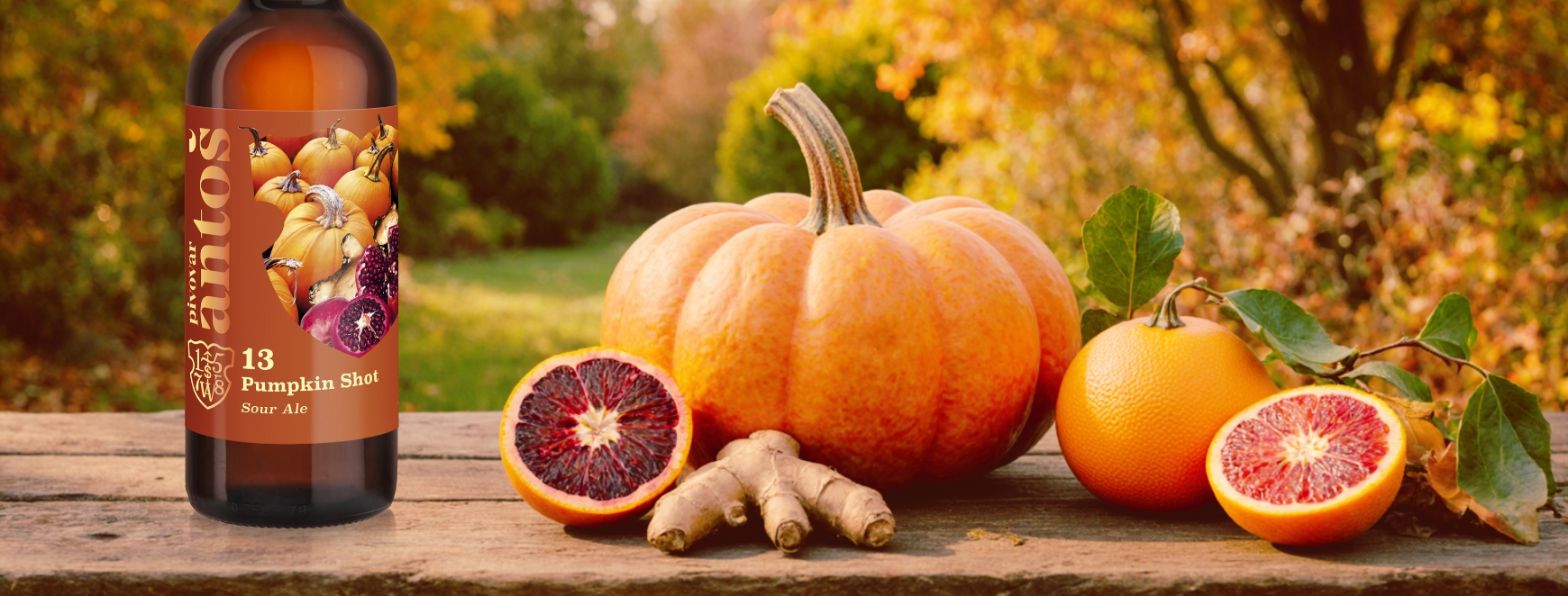 PUMKIN SHOT