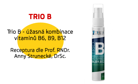 Trio B