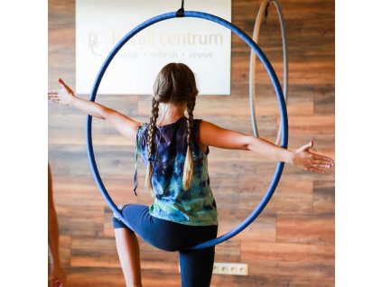 aerial hoop kruh 2 600x600