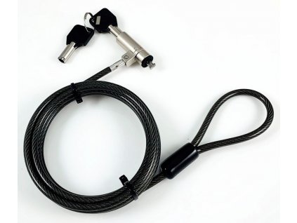 6196 security lock with keys for