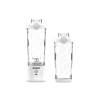SmoothieJet prenosný USB smoothie mixér 600 ml - vodeodolný