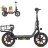 DYU skládací elektrická koloběžka C4