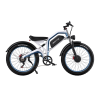 DUOTTS elektrický bicykel N26