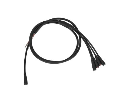 6fd36dde3593449abfad2ec6128036e3