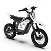 Terénna elektrická motorka VIPCOO H2