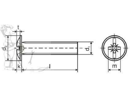 Šroub okrasný M 6 x 10 ZN - 2306010