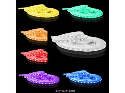 bd4c38ebd2c1f5536e4540899d5eddc6