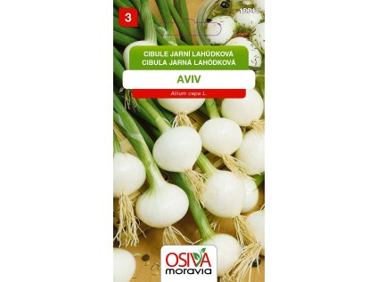 Cibule jarní lahůdková AVIV - - 10044