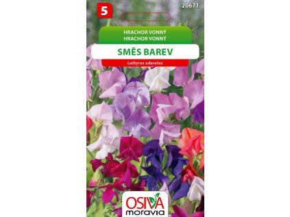 e9bd7e67dc07b4f5482c9b95cf5dbddc