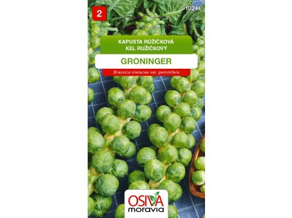 b963d60fcc74f93f2f71290c49e17f32