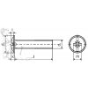 Šroub okrasný M 5 x 10 ZN - 2305010