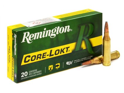243Win Remington Core Lokt Pointed SP 100gr 6,48g 27802