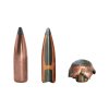 Federal Premium Nosler Partition 4
