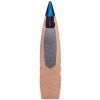 Federal .308 Win Terminal Ascent 11.3g 175gr 06