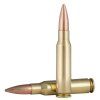 Federal .308 Win Gold Medal Sierra MatchKing OTM 11.3g 04