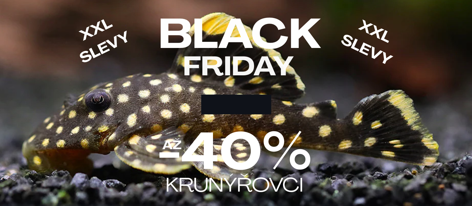 Sleva 13%