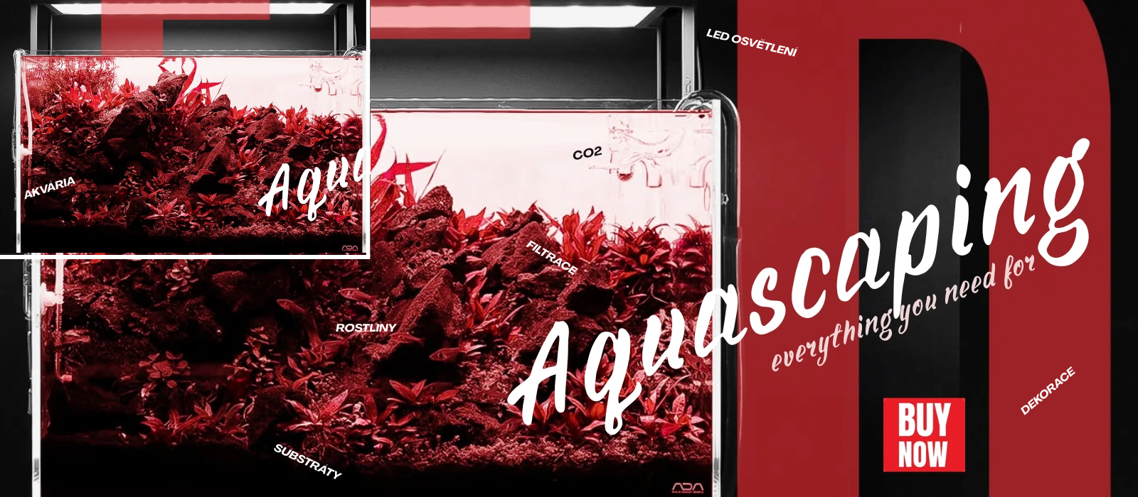 red plants