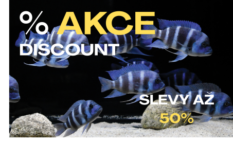 zebra_akce