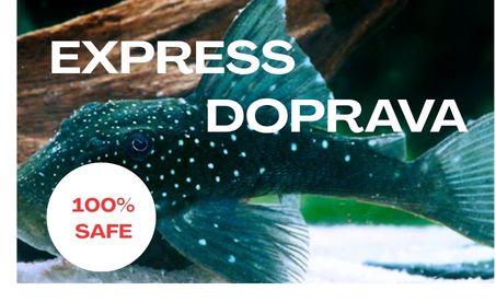 Garance bezpečného doručení