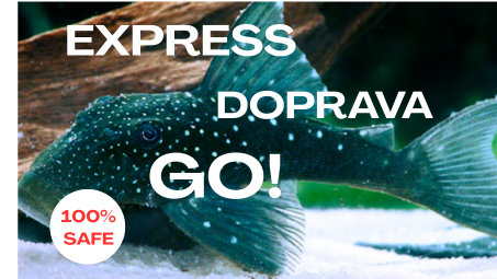 Garance bezpečného doručení