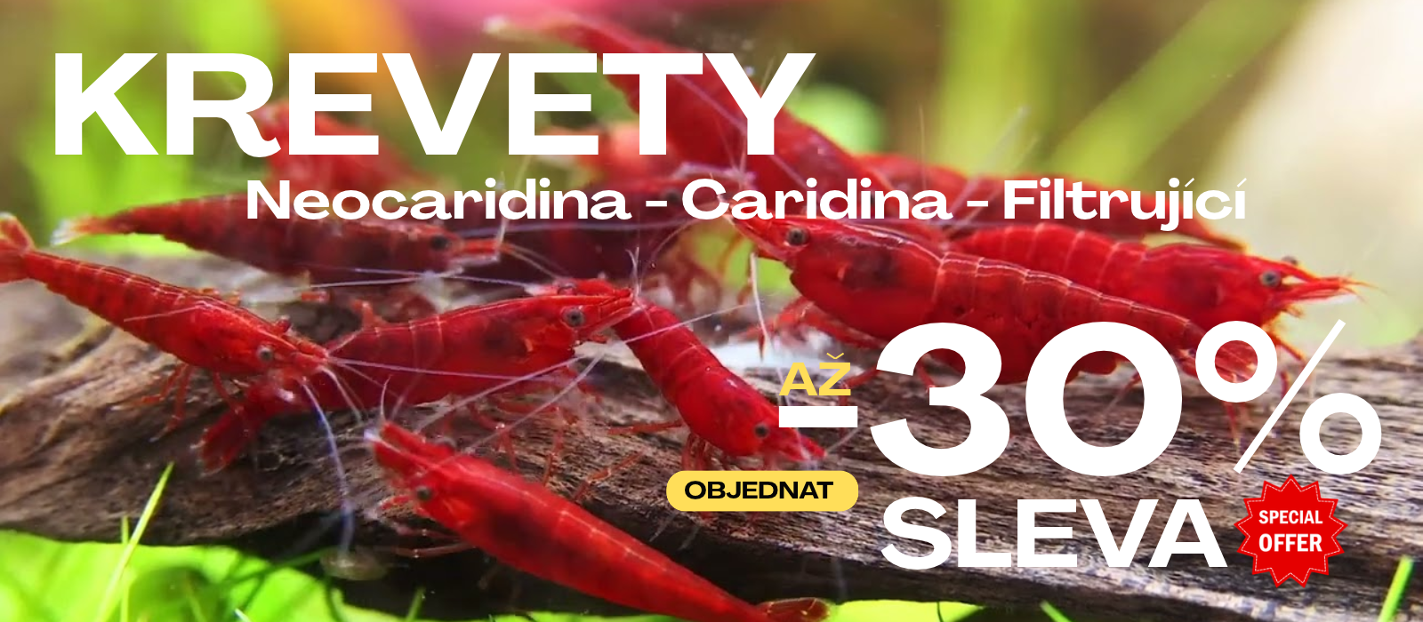 Krevety30