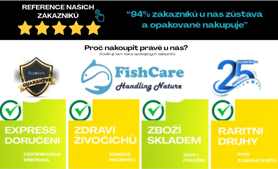 plzi25