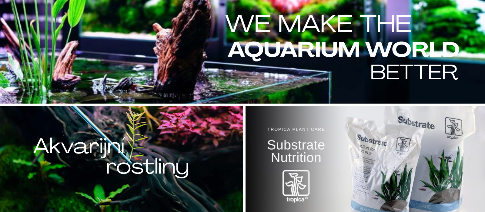 Aquascaping
