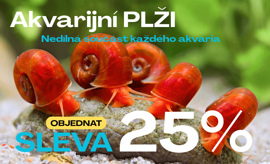 plzi25