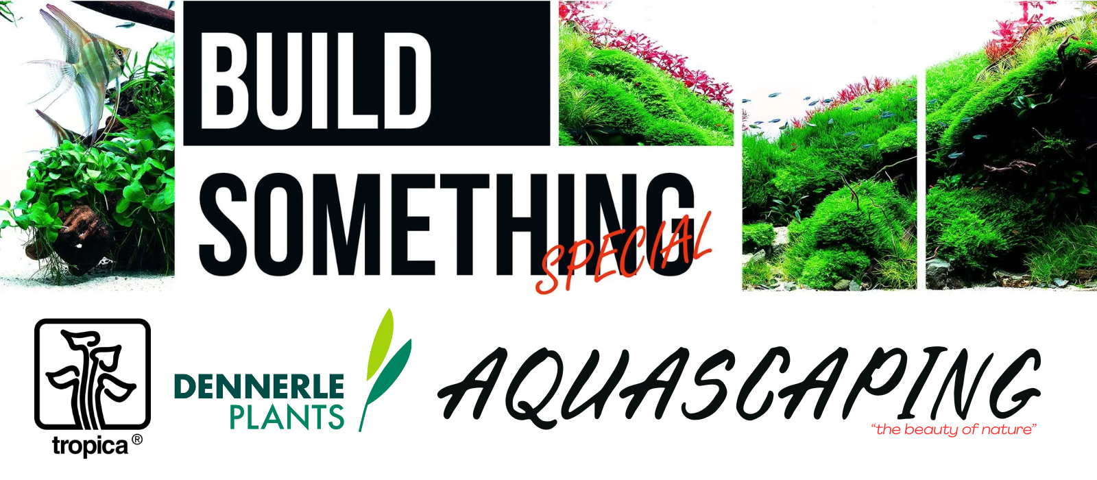 Aquascaping