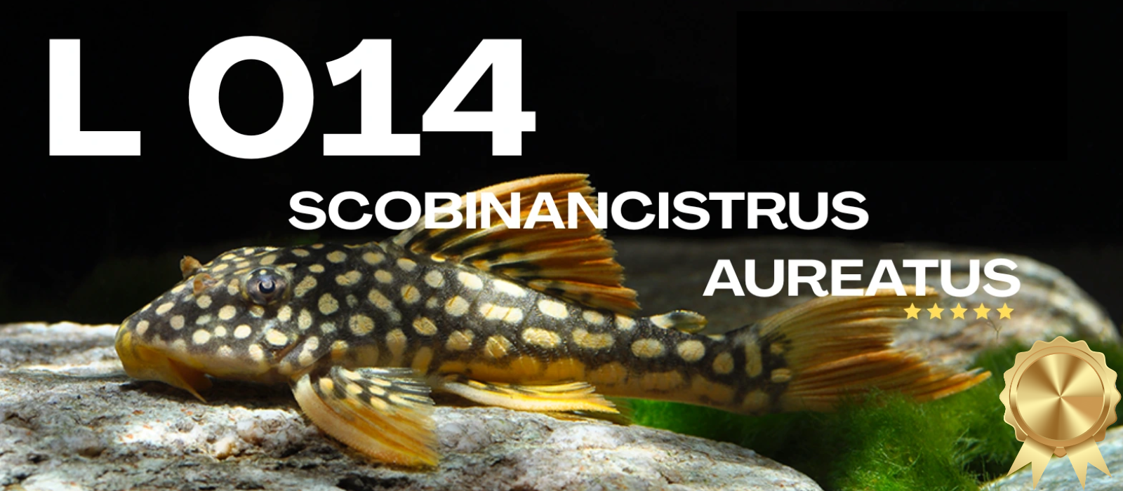 l014