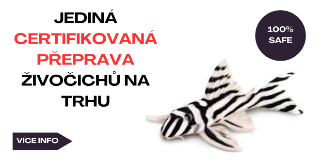 Certifikovaná přeprava