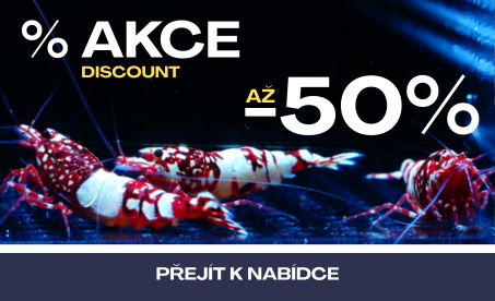 zebra_akce