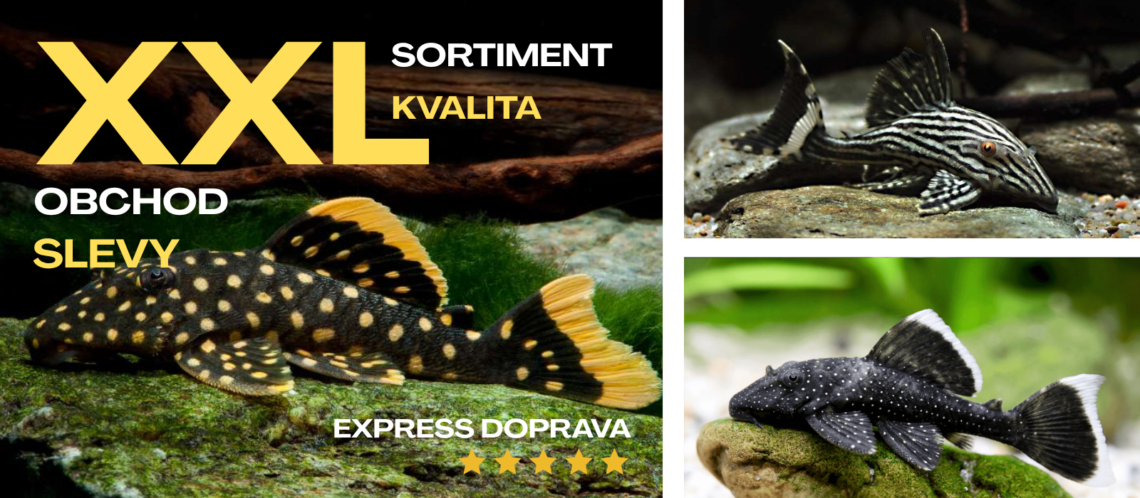 XXL sortiment