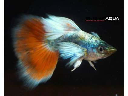 c1f115802b908e780731ac9850a91f75