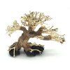 bonsai3