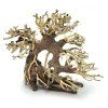 bonsai4