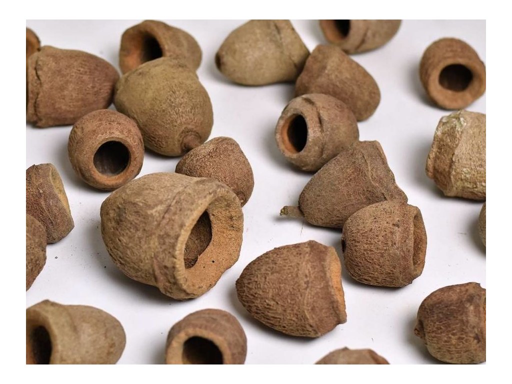 Novinka v našem Eshopu. Přírodní a keramické dekorace.