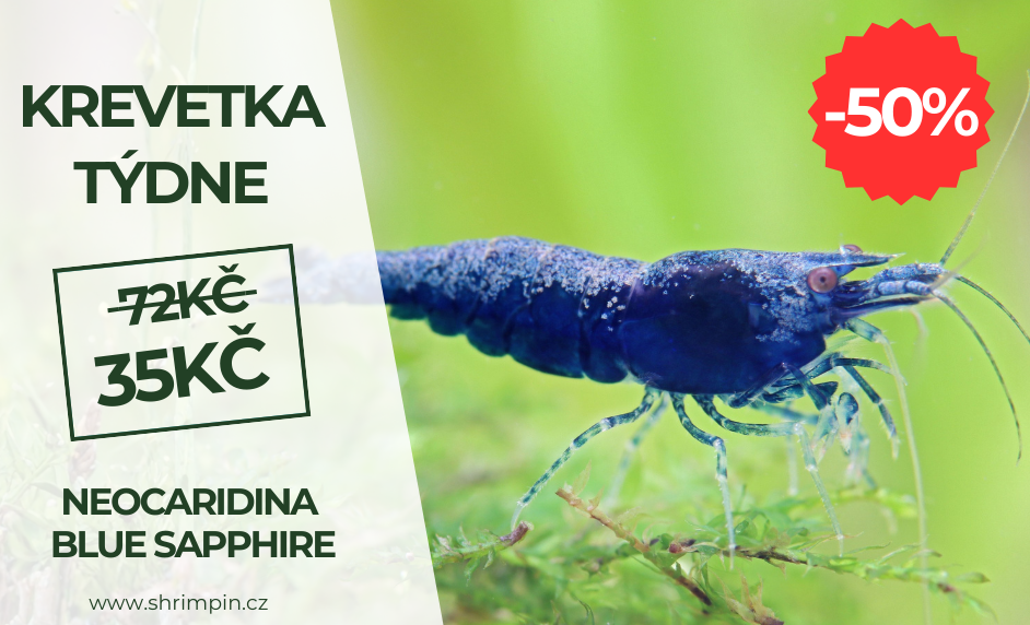 Krevetka týzdňa 2