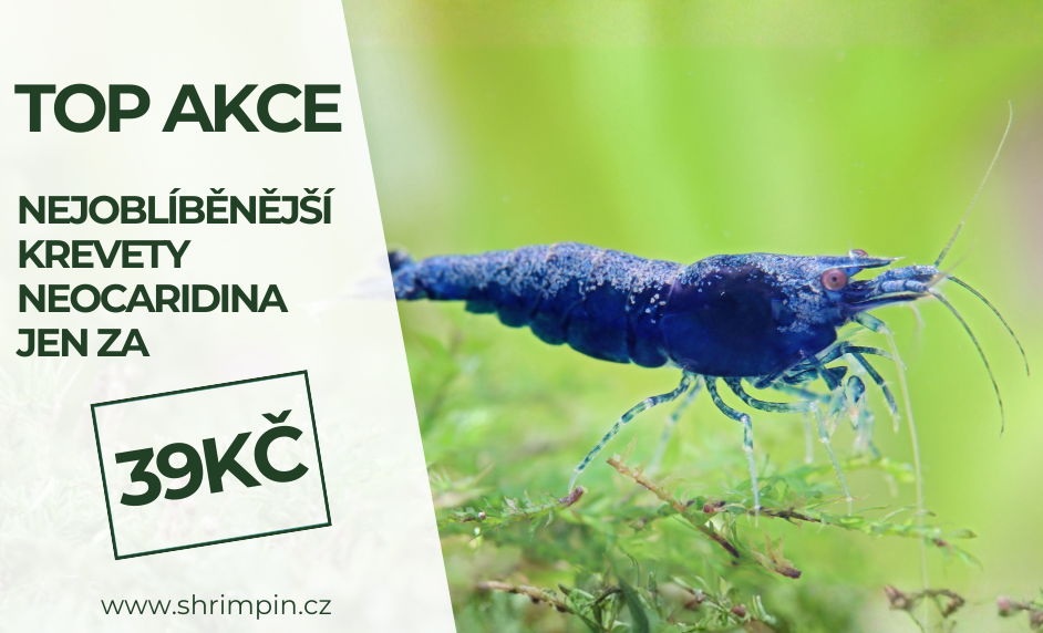 Promo akcia