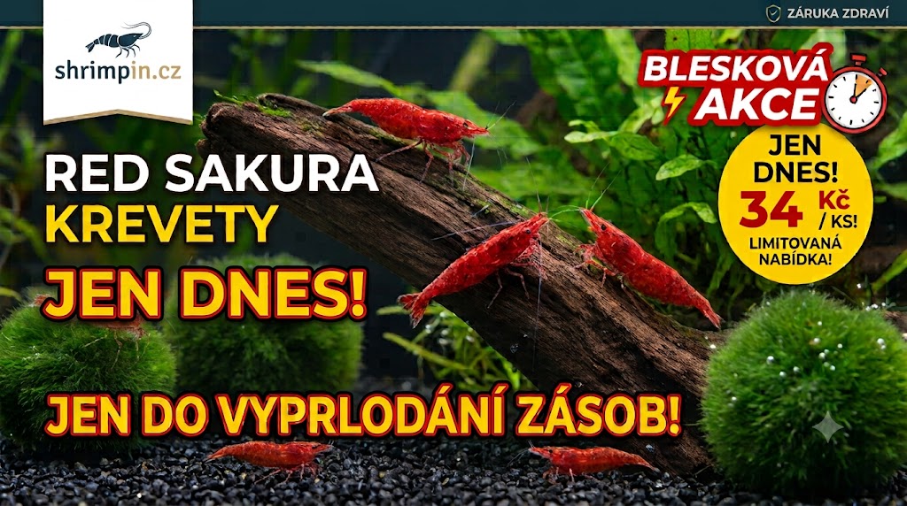 Bleskova Akce